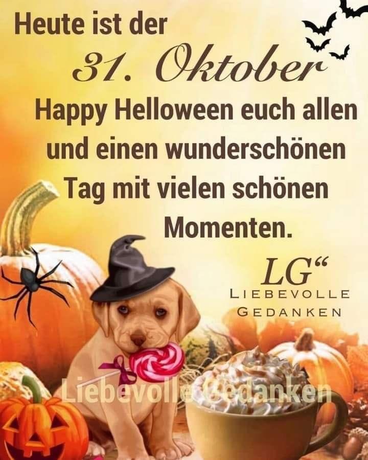 IMG_5917.JPG 31. 10.