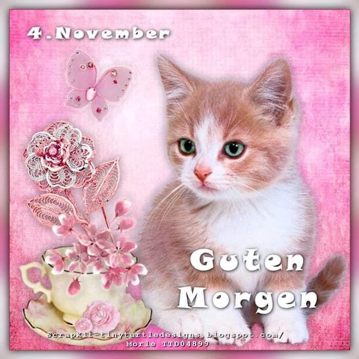 IMG_5977.JPG 04.11.24