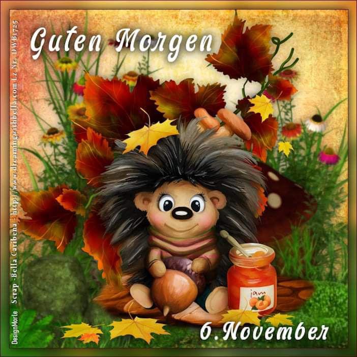 IMG_6002.JPG 06. 11.