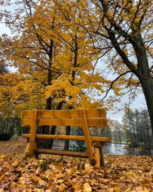 IMG_6014.JPG Herbst und Bank