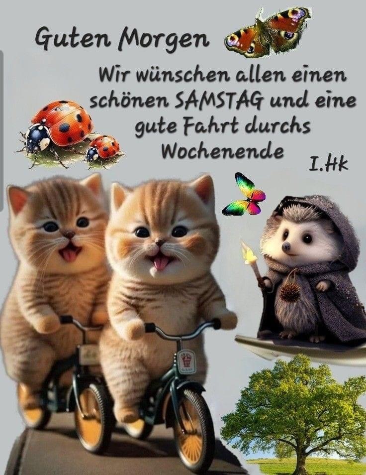 IMG_6035.JPG Guten Morgen Wochenende