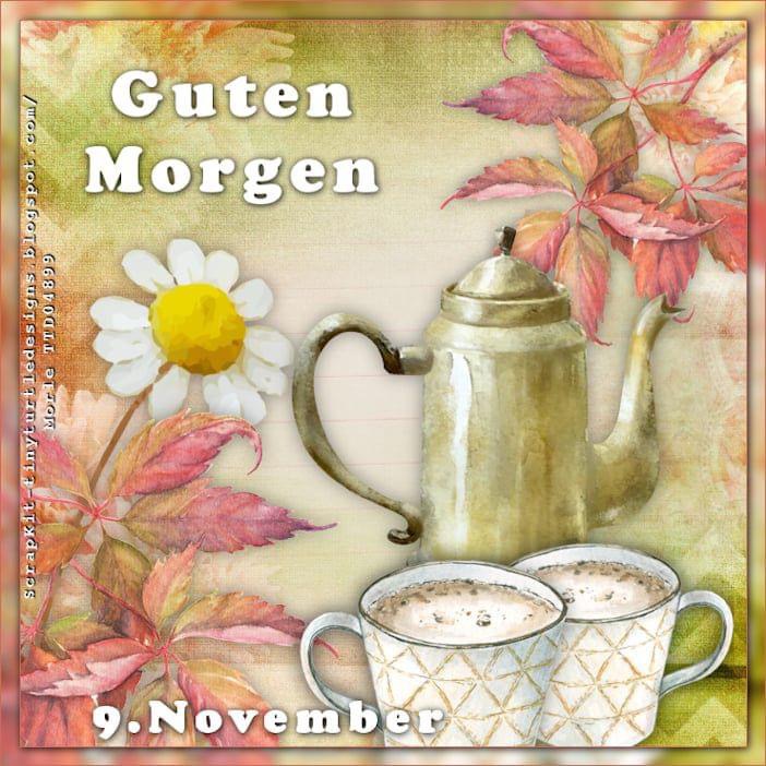 IMG_6036.JPG 9. 11. 24