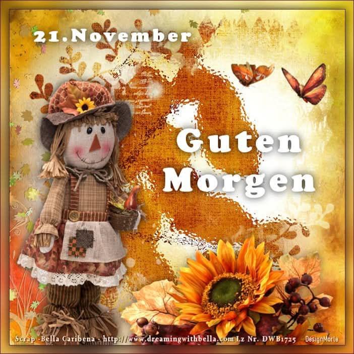 IMG_6161.JPG 21.11.24