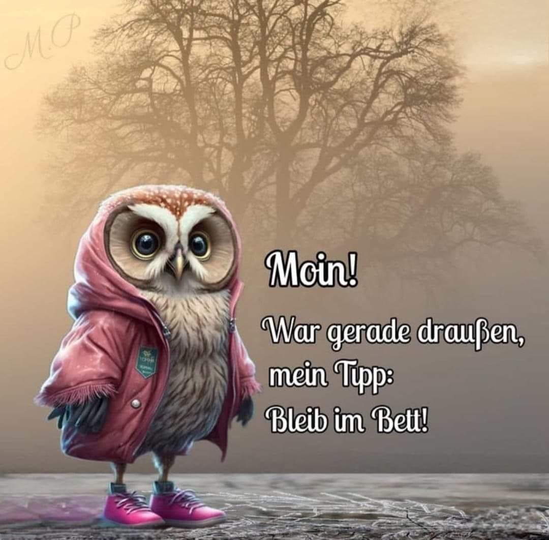 IMG_6168.JPG bleibt im Bett