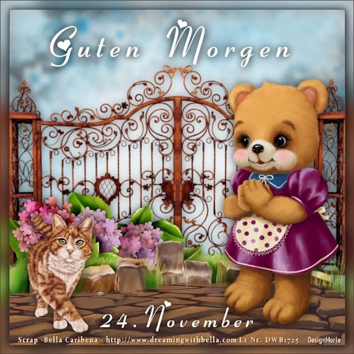 IMG_6186.JPG 24. 11.