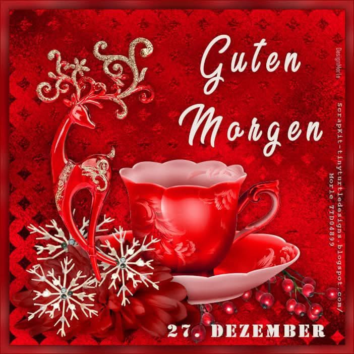 IMG_6330.JPG 27. 12.