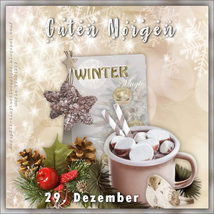 IMG_6360.JPG 29.12.24