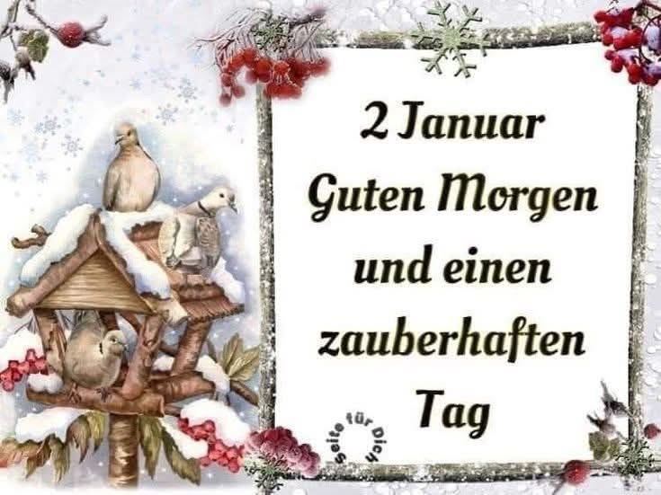 IMG_6423.JPG 2. Januar guten Morgen