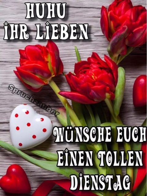 IMG_6475.JPG Dienstag