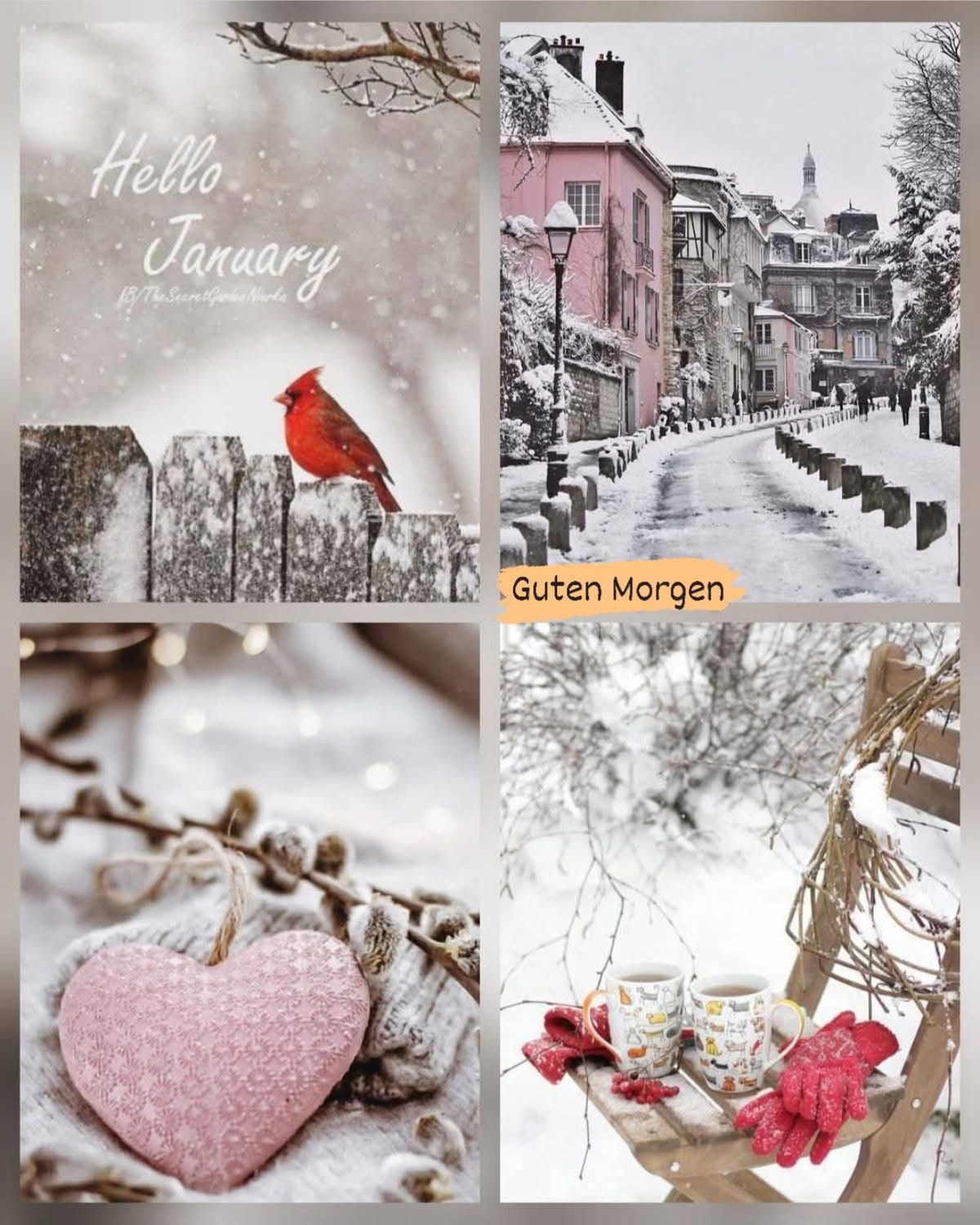 IMG_6507.JPG Hallo Januar