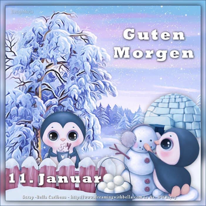 IMG_6525.JPG 11. 01.