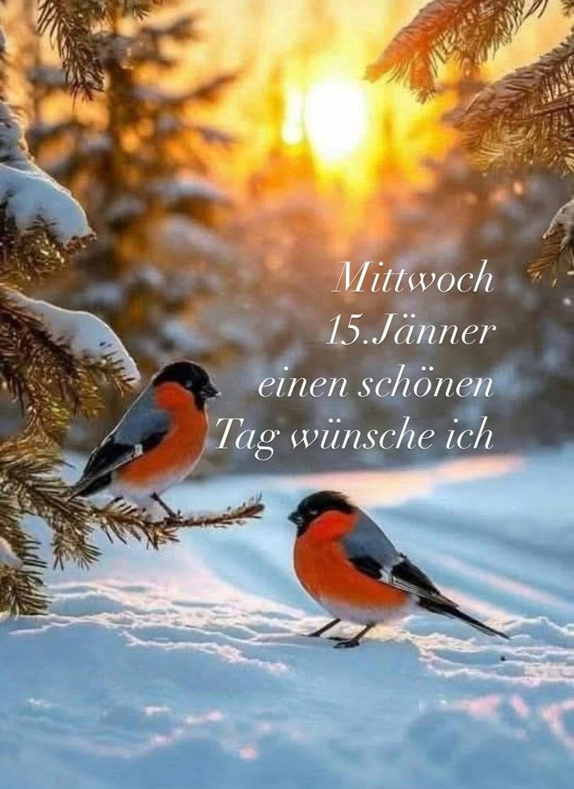 IMG_6593.JPG 15. 01. 25