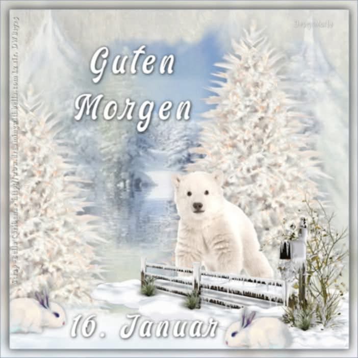 IMG_6598.JPG 16. 1. 2025