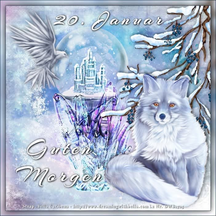 IMG_6667.JPG 20. 1. 25