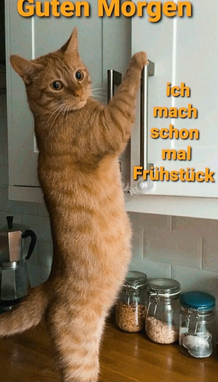 IMG_6733.JPG mache schon Frühstück