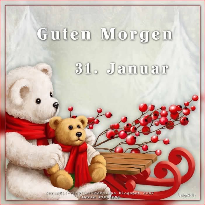 IMG_6789.JPG 31.1.25