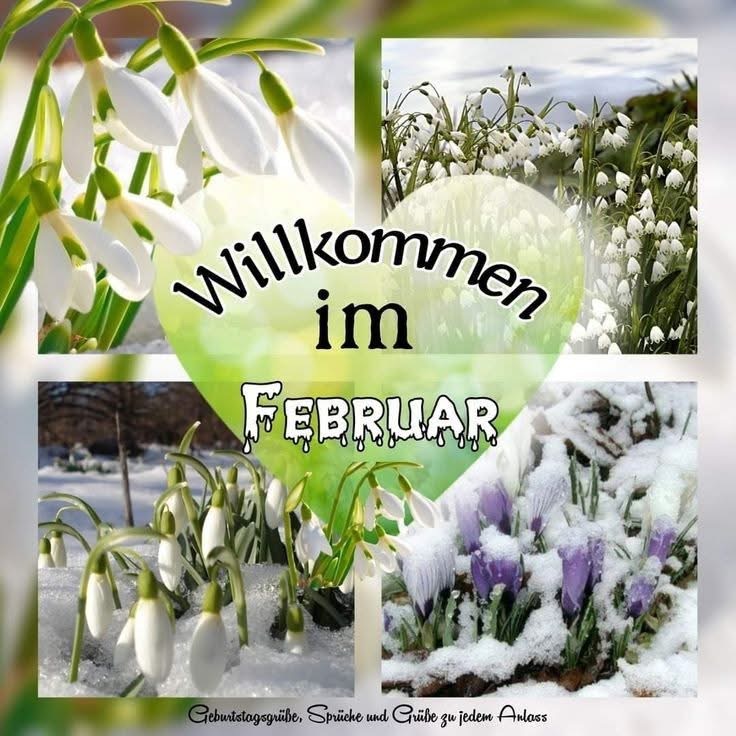 IMG_6811.JPG Willkommen im Februar
