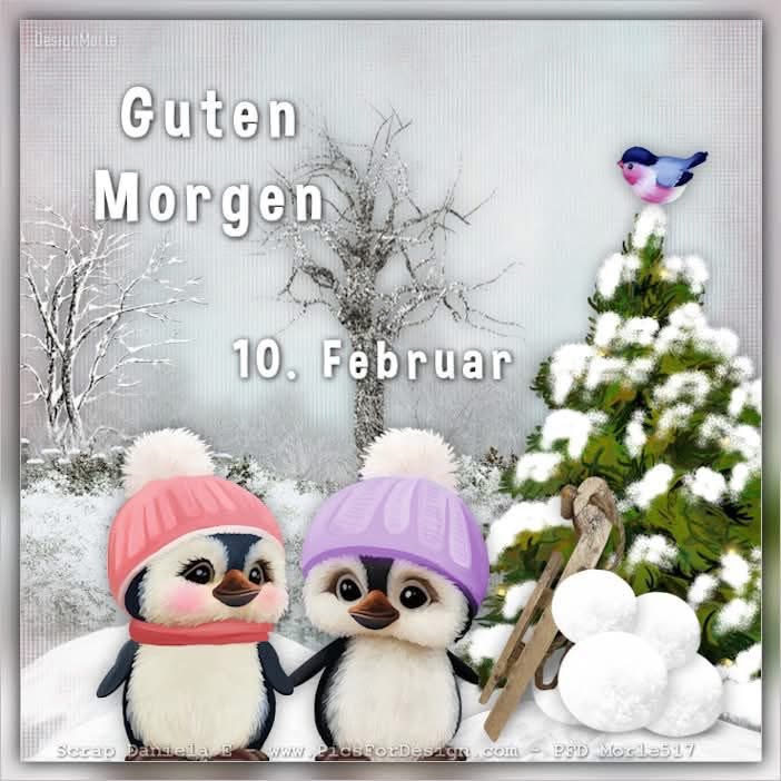 IMG_6915.JPG 10. 2. 25