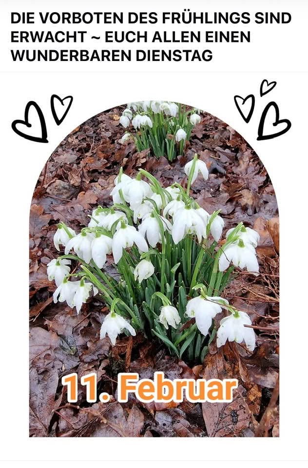 IMG_6931.JPG 11.2.25