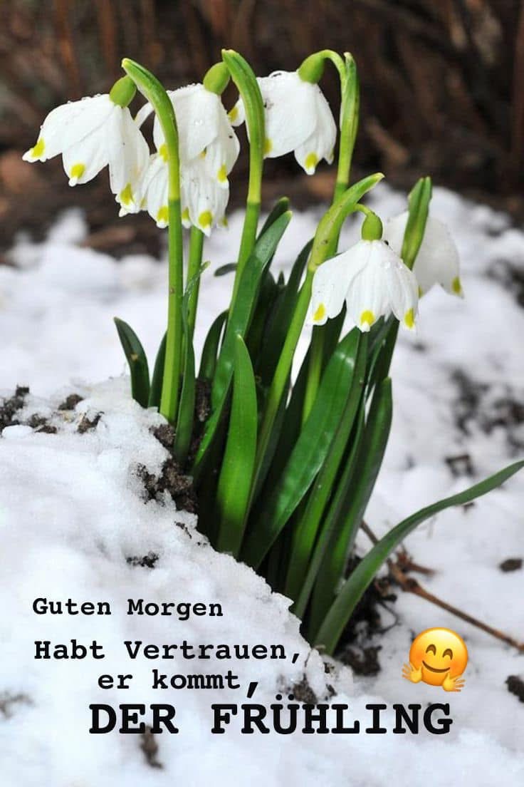 IMG_6965.JPG Frühling