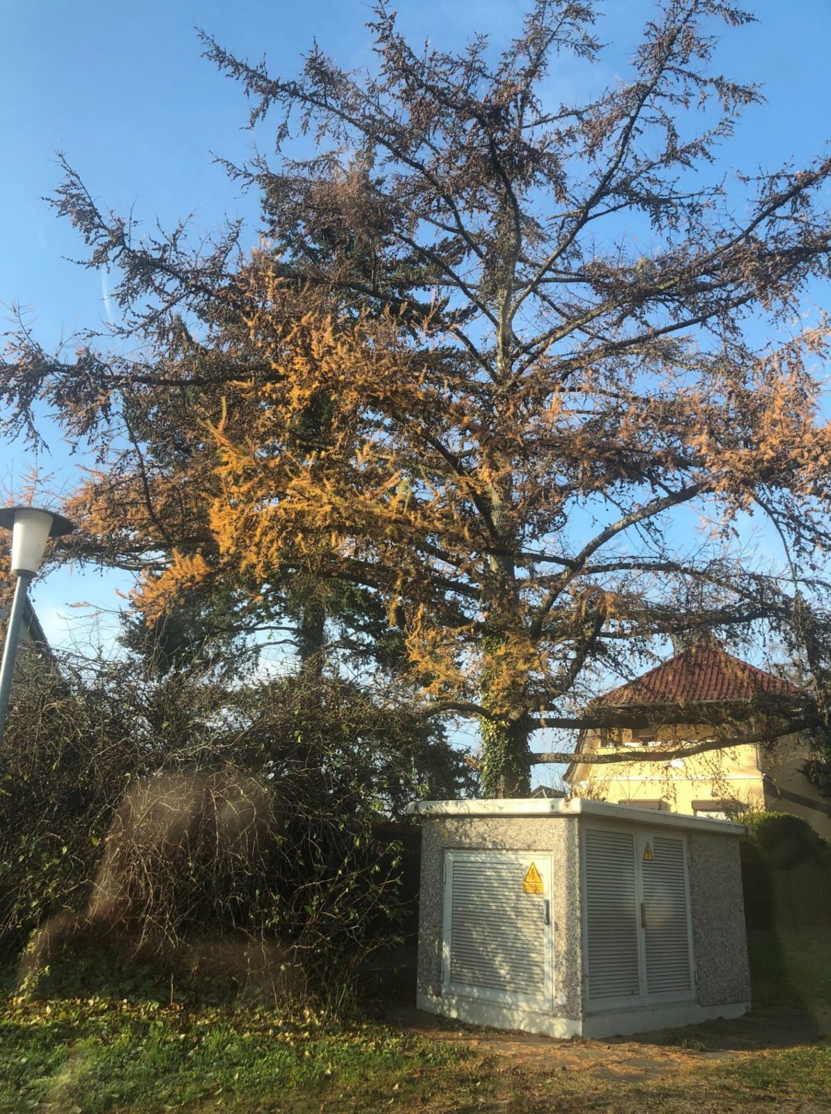 IMG_7078.jpg Teschendorf