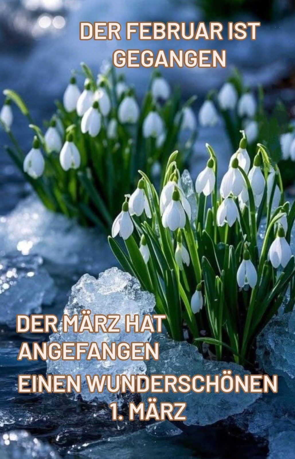 IMG_7144.JPG Februar ist gegangen jetzt 1. März