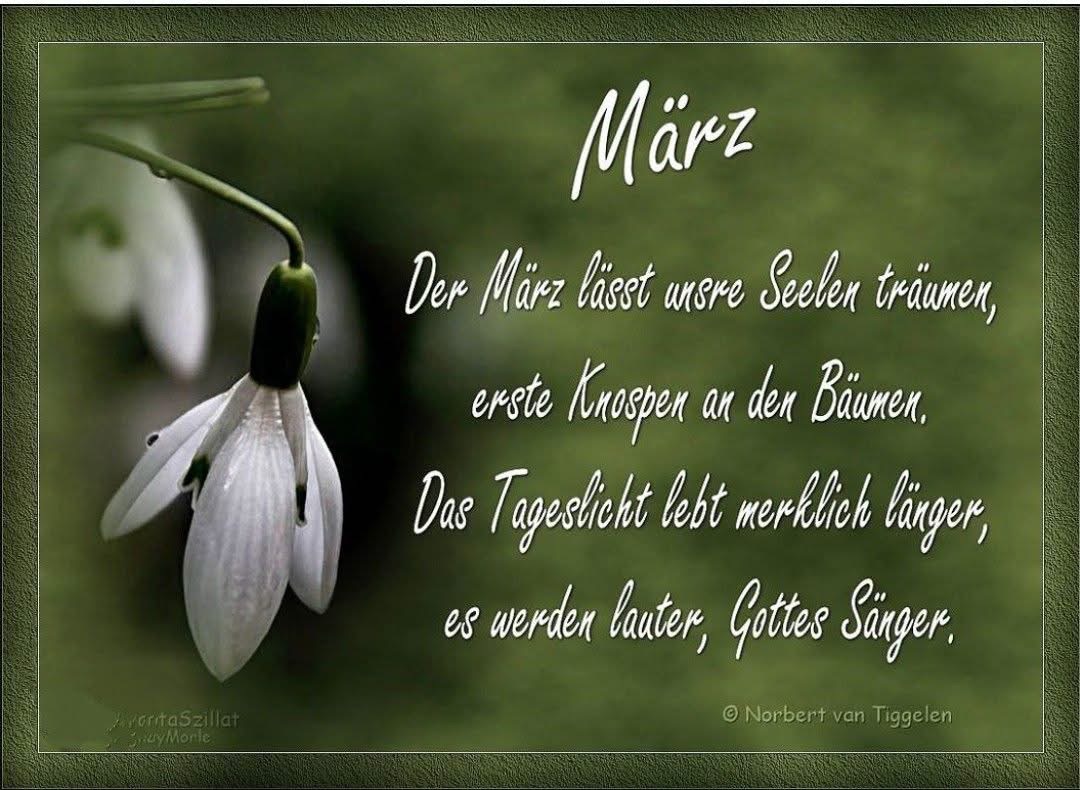 IMG_7145.JPG 1. März