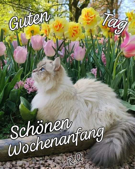 IMG_7219.JPG Wochenanfang