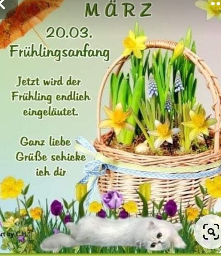 IMG_7335.JPG 20. 3. 25