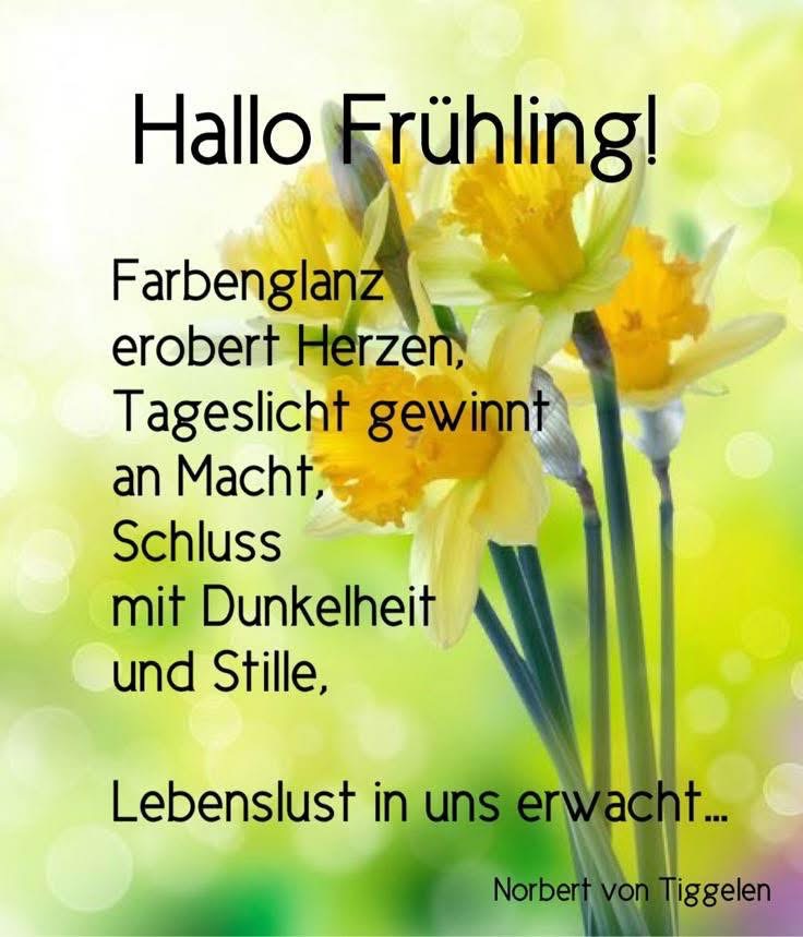 IMG_7336.JPG Frühling