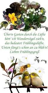 IMG_7359.JPG Frühling 2