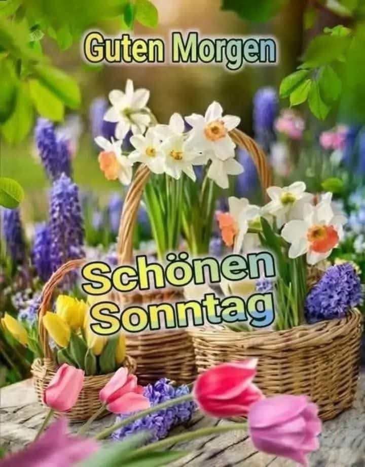 IMG_7392.JPG Guten Morgen Sonntag