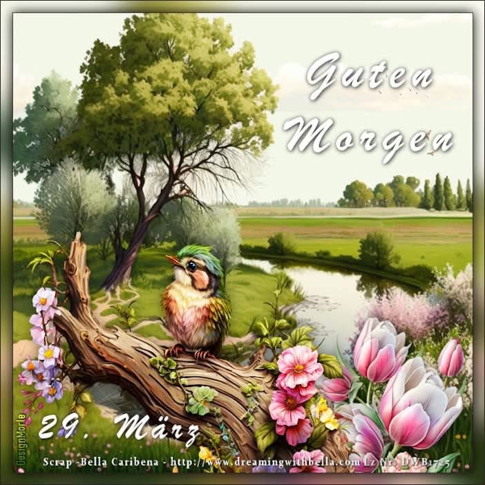 IMG_7458.JPG 29. März 2025