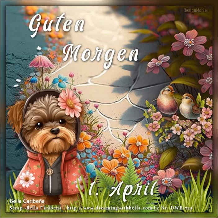 IMG_7479.JPG 1. APRIL 2025