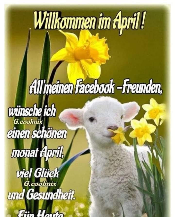 IMG_7481.JPG Willkommen im April