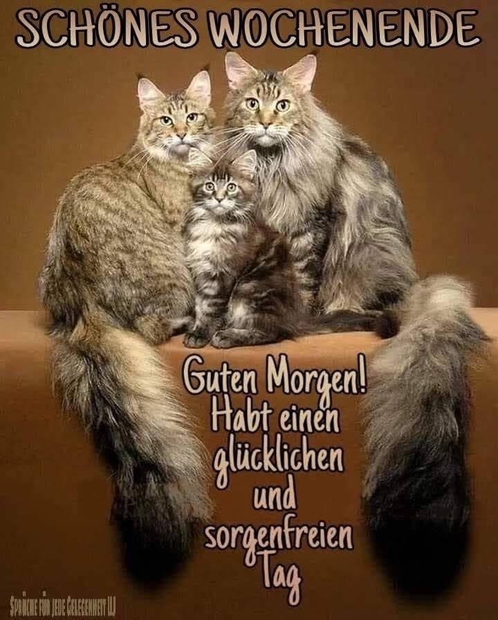 IMG_8897.JPG Wochenende