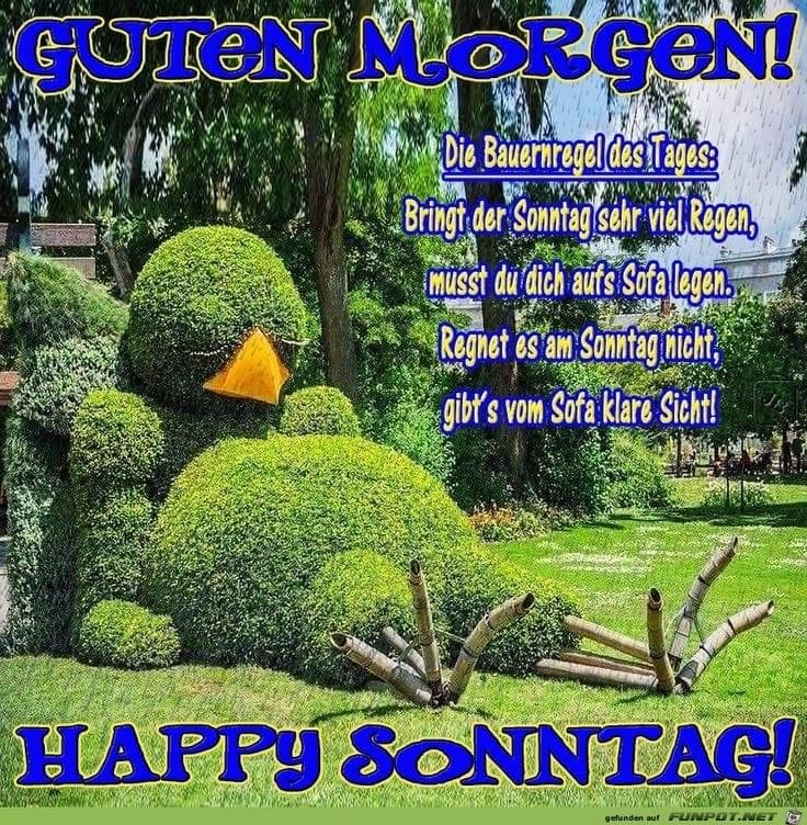 IMG_9837.JPG Sonntag 09.10.22