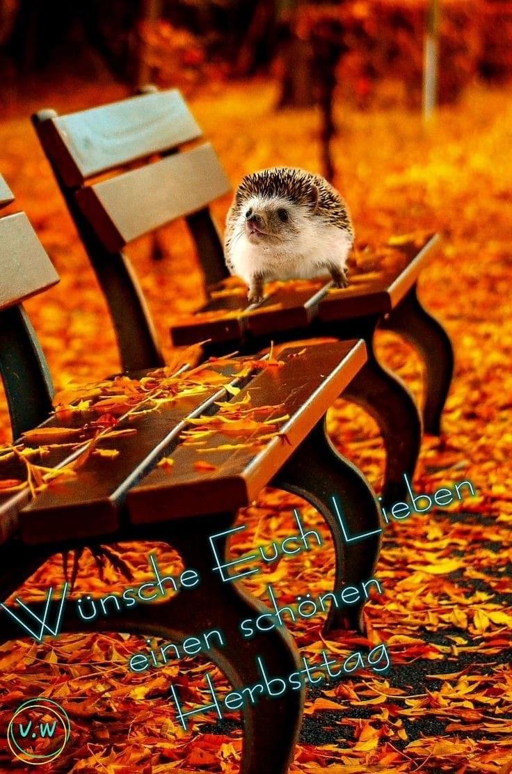 IMG_9904.JPG Herbst a2