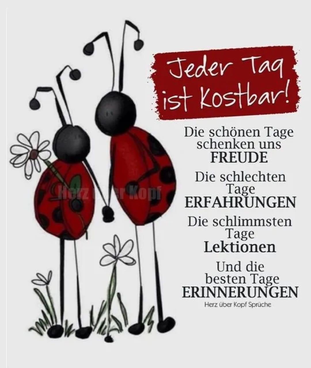 Jeder Tag ist kostbar