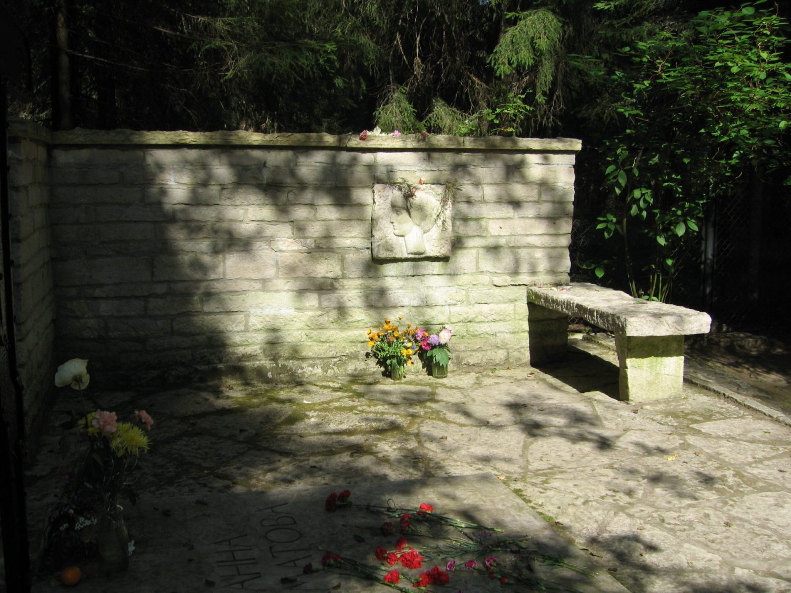 Licht und Schatten St. Petersburg