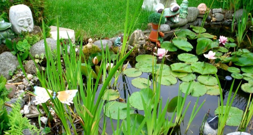 MEIN HÜBSCHER TEICH