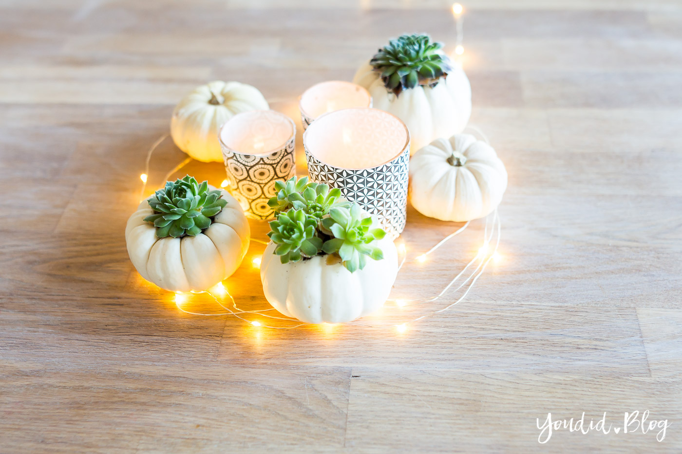 Minimalistische-Herbstdeko-Baby-Boo-Kuerbisse-mit-Sukkulenten-bepflanzen-Sukkulente-Tischdeko-minimalistic-autumn-decor-pumpkin-with-succulents-table-decoration