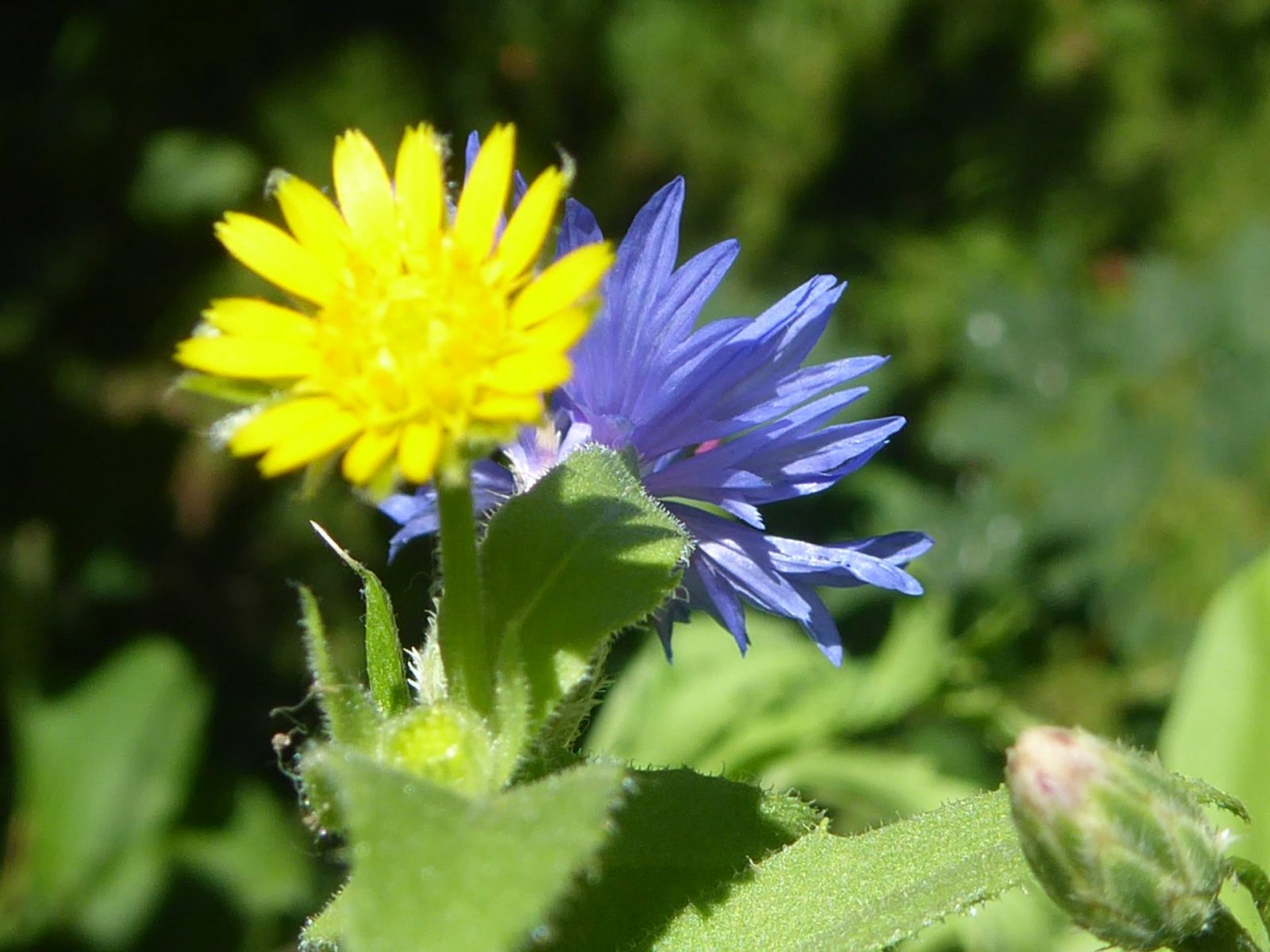 Montag 1.8.2022 (10)