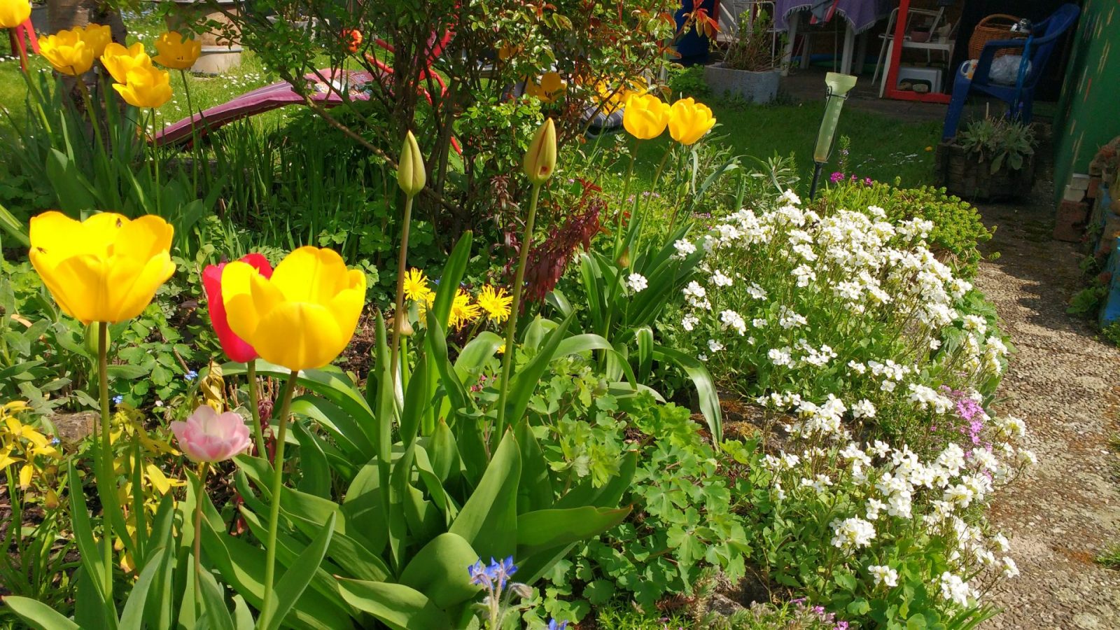 März 2016 Schwarzwald 185