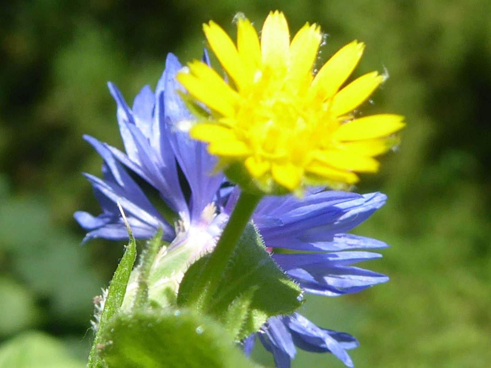 Nontag 1.8.2022 (11)