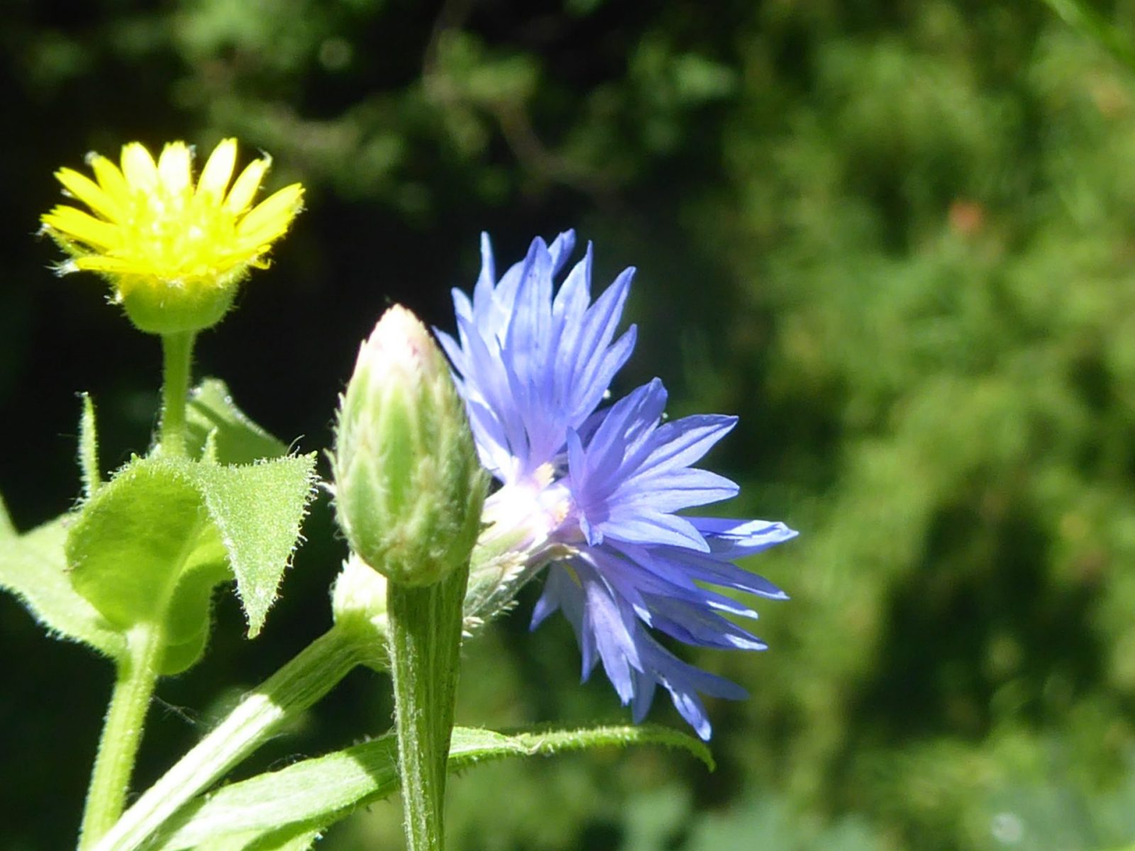 Nontag 1.8.2022 (18)