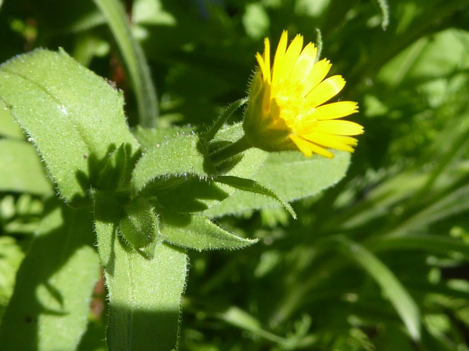 Nontag 1.8.2022 (36)