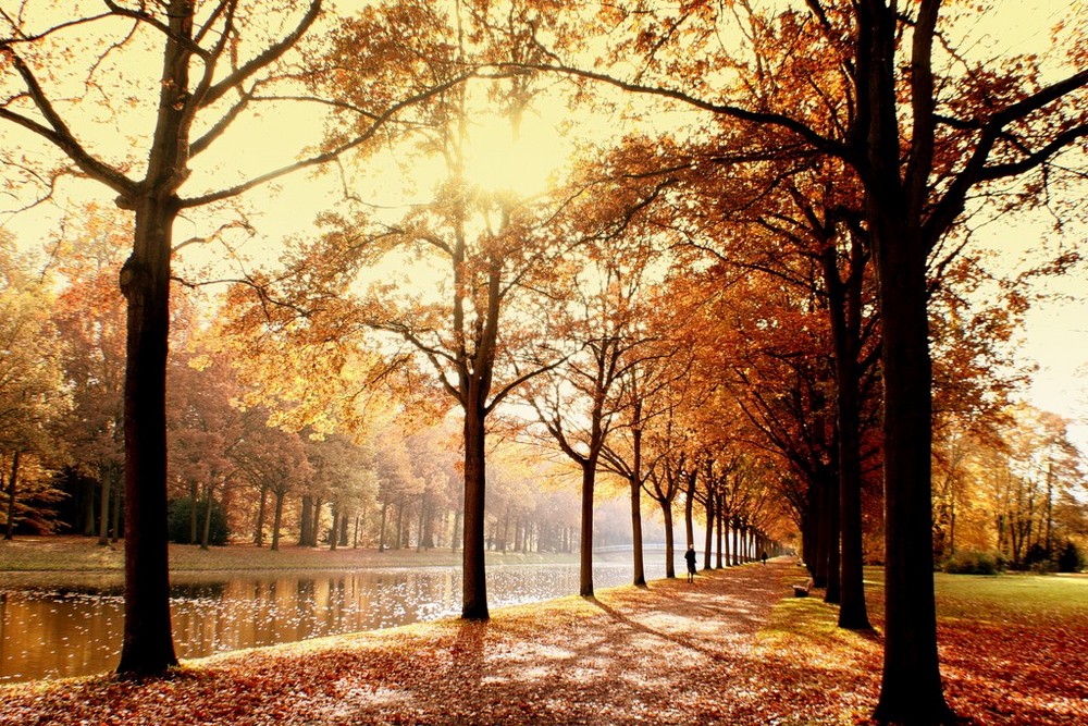 November-Sun-a19157657