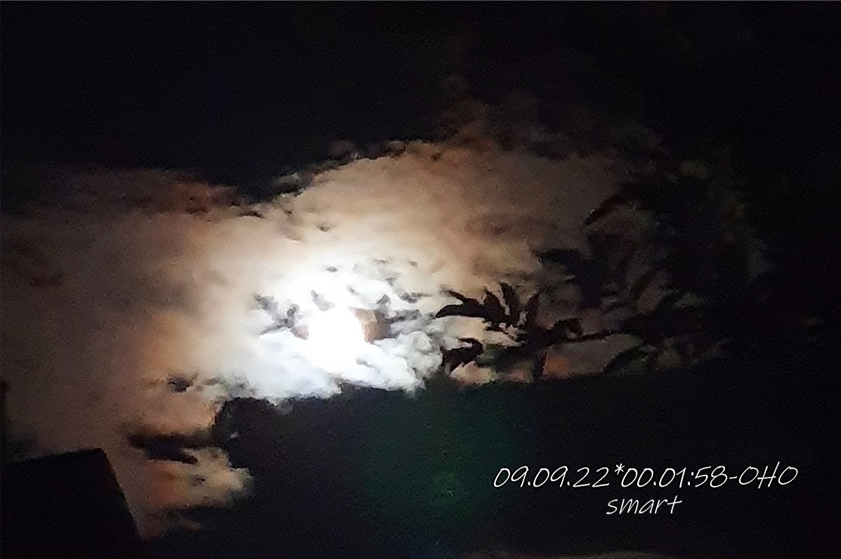 OHO-20220909_00.01.58 (2)