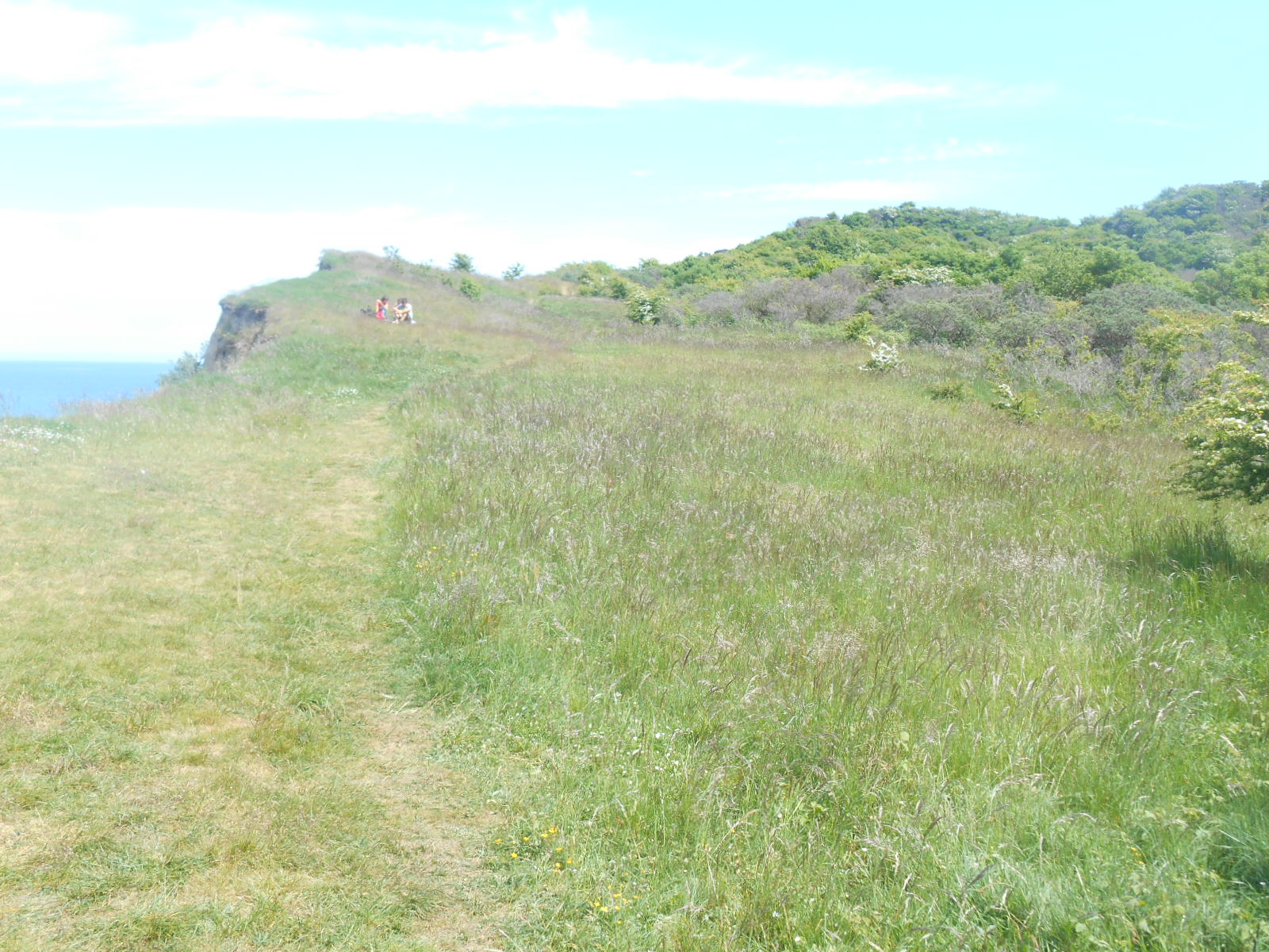 Ostseefahrte 25.5.2018 015